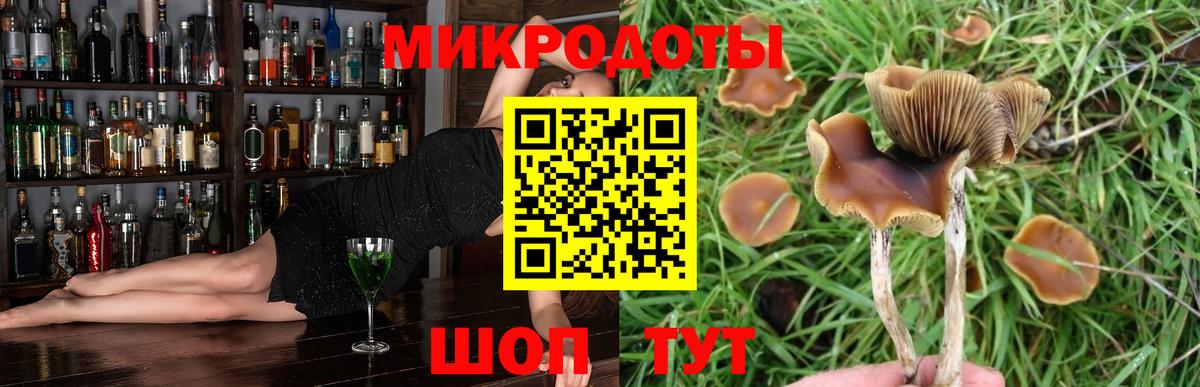 Псилоцибиновые грибы прущие грибы  Карачаевск 